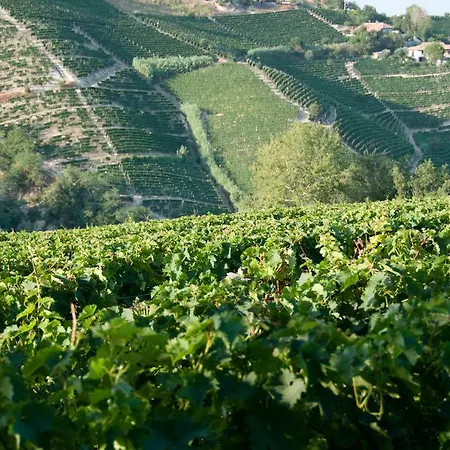 Cadgal - Tenuta Valdivilla Farm stay Santo Stefano Belbo