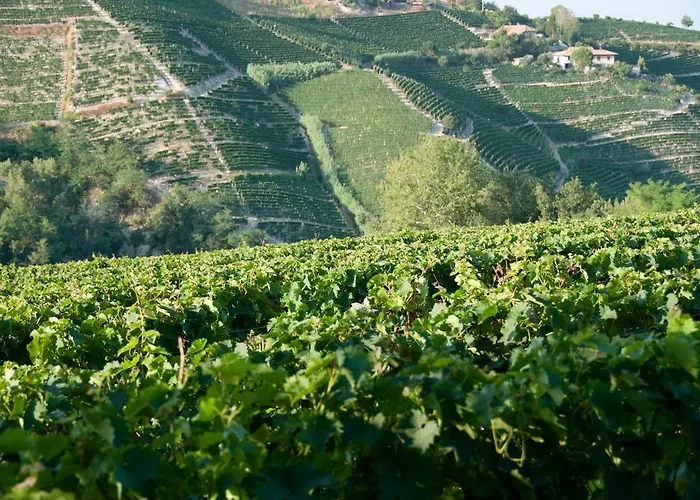 Cadgal - Tenuta Valdivilla مزرعة للإقامة سانتو ستيفانو بيلبو
